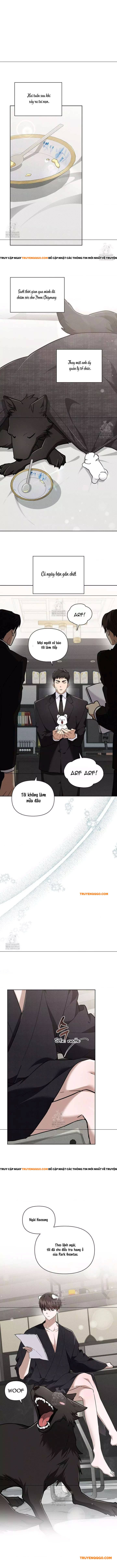 Đừng Đùa Với Cún Con Chapter 45 - Next Chapter 46