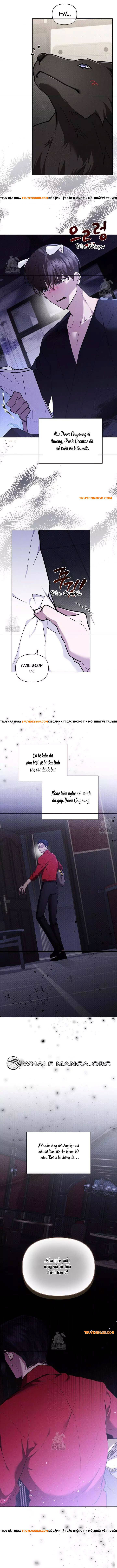 Đừng Đùa Với Cún Con Chapter 45 - Next Chapter 46