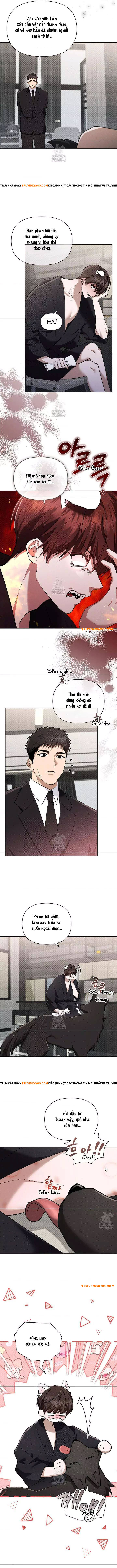 Đừng Đùa Với Cún Con Chapter 45 - Next Chapter 46