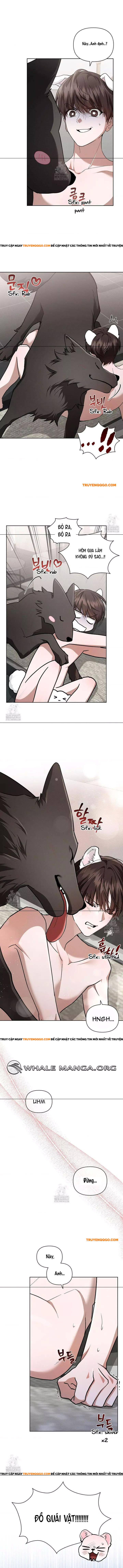 Đừng Đùa Với Cún Con Chapter 45 - Next Chapter 46