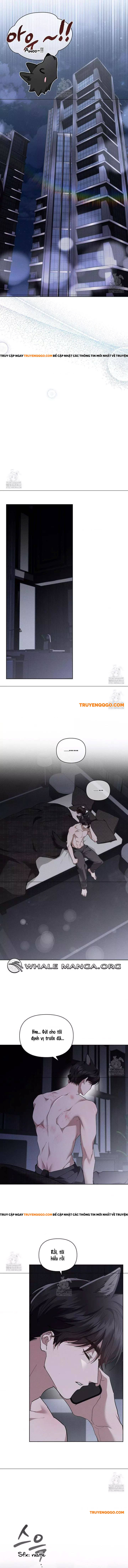 Đừng Đùa Với Cún Con Chapter 45 - Next Chapter 46