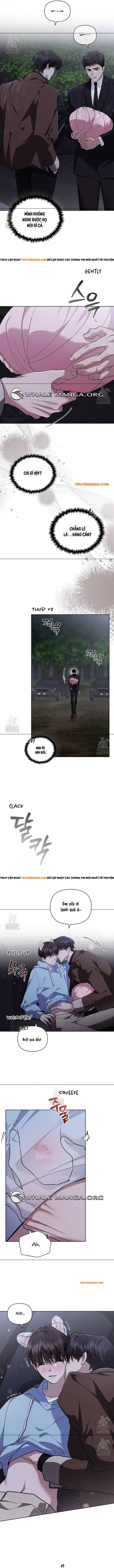 Đừng Đùa Với Cún Con Chapter 46 - Next Chapter 47