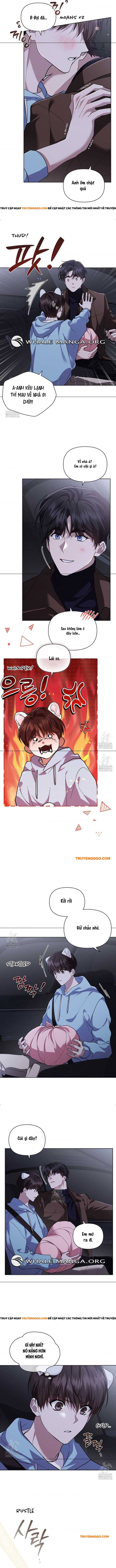 Đừng Đùa Với Cún Con Chapter 46 - Next Chapter 47