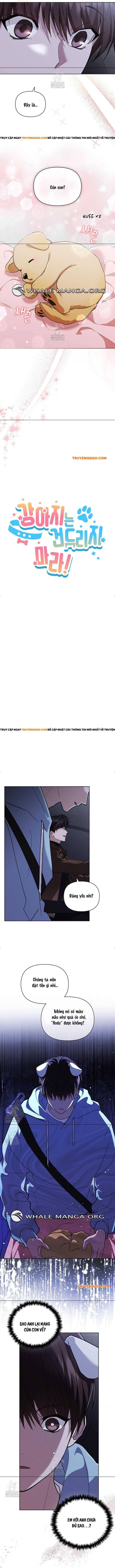Đừng Đùa Với Cún Con Chapter 46 - Next Chapter 47