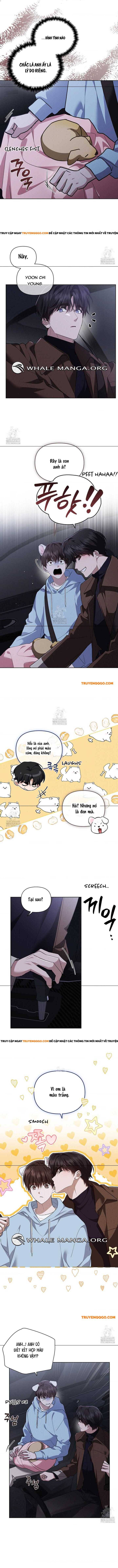 Đừng Đùa Với Cún Con Chapter 46 - Next Chapter 47