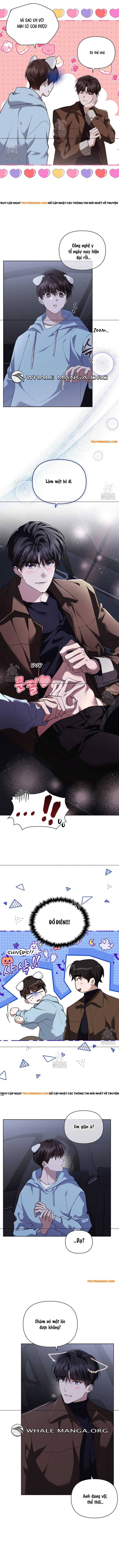 Đừng Đùa Với Cún Con Chapter 46 - Next Chapter 47