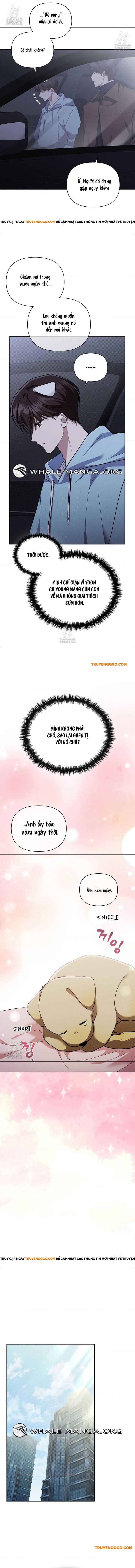 Đừng Đùa Với Cún Con Chapter 46 - Next Chapter 47