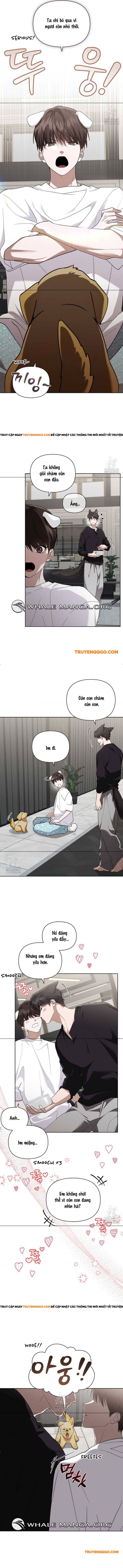 Đừng Đùa Với Cún Con Chapter 46 - Next Chapter 47