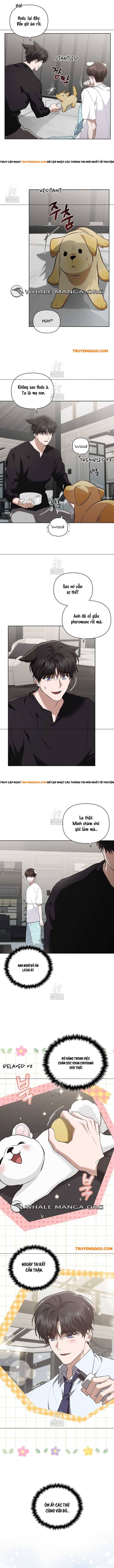 Đừng Đùa Với Cún Con Chapter 46 - Next Chapter 47