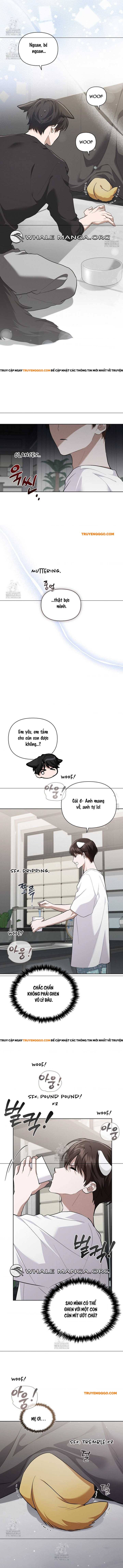 Đừng Đùa Với Cún Con Chapter 46 - Next Chapter 47