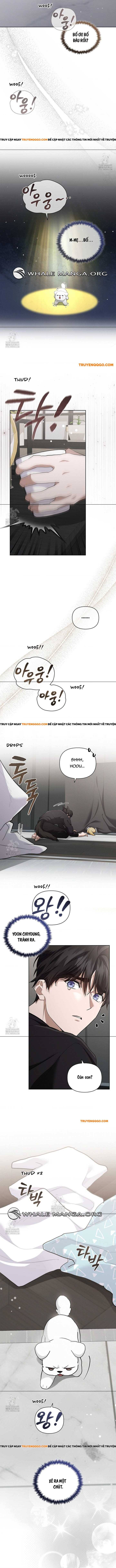 Đừng Đùa Với Cún Con Chapter 46 - Next Chapter 47