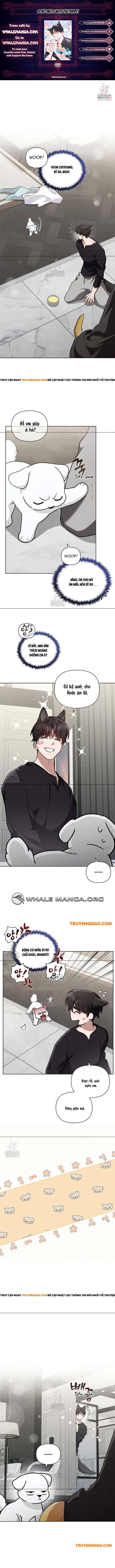 Đừng Đùa Với Cún Con Chapter 47 - Trang 2
