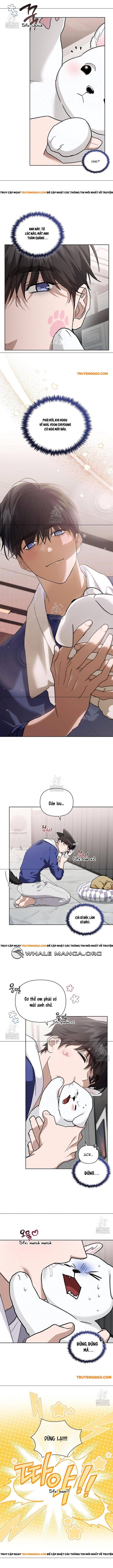 Đừng Đùa Với Cún Con Chapter 47 - Trang 2