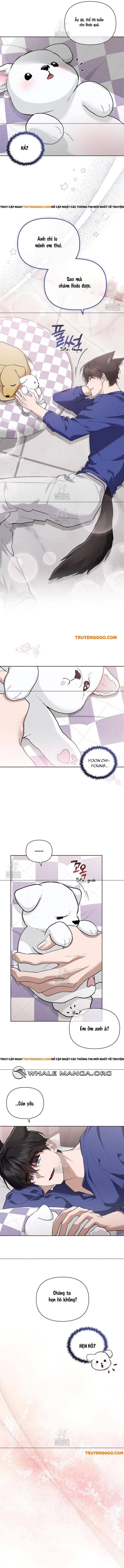 Đừng Đùa Với Cún Con Chapter 47 - Trang 2