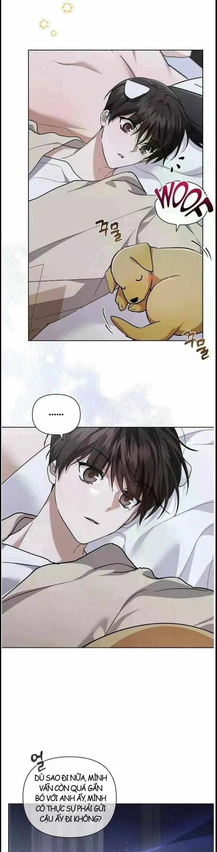 Đừng Đùa Với Cún Con Chapter 51 19
