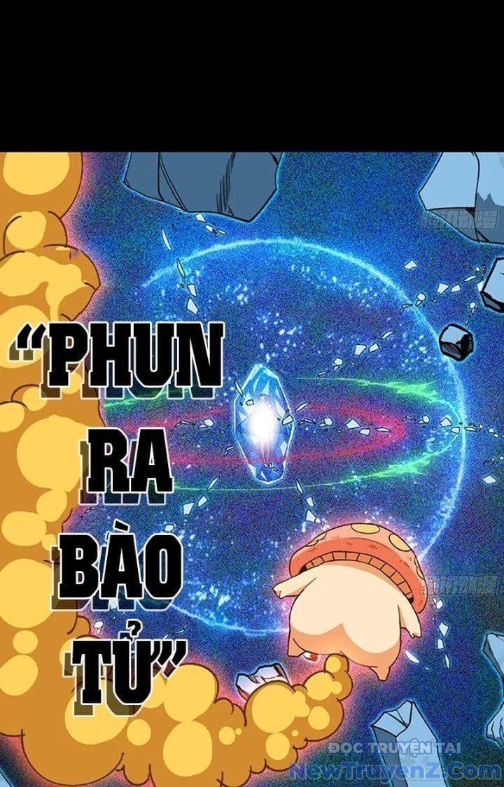 Dũng Sĩ Nấm Chapter 110 - Trang 2