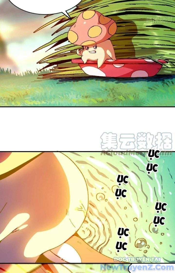 Dũng Sĩ Nấm Chapter 84 - Trang 2