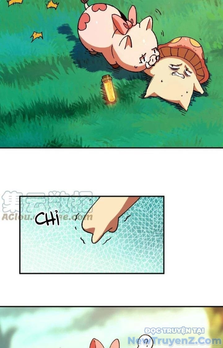 Dũng Sĩ Nấm Chapter 84 - Trang 2