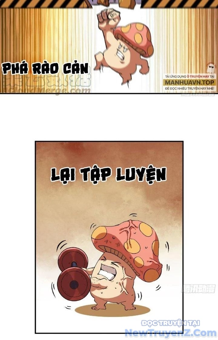 Dũng Sĩ Nấm Chapter 85 - Trang 2