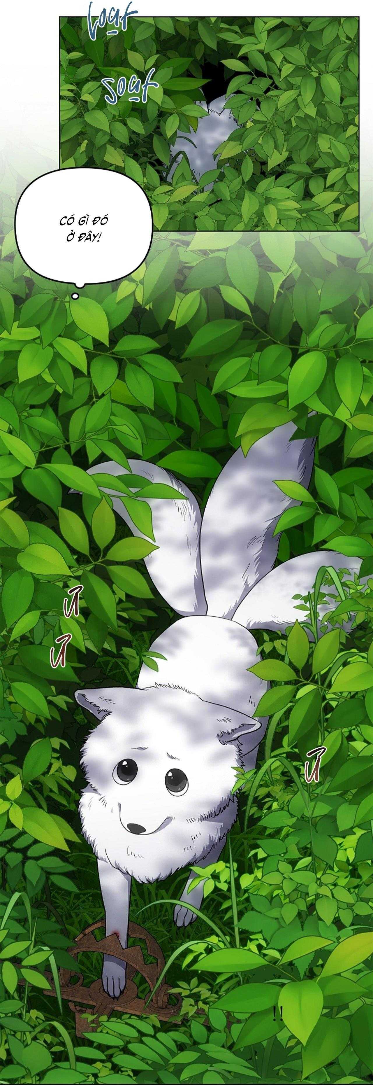 Đuổi Bắt Giữa Đêm Ngọt Ngào Chapter 28 - Trang 2
