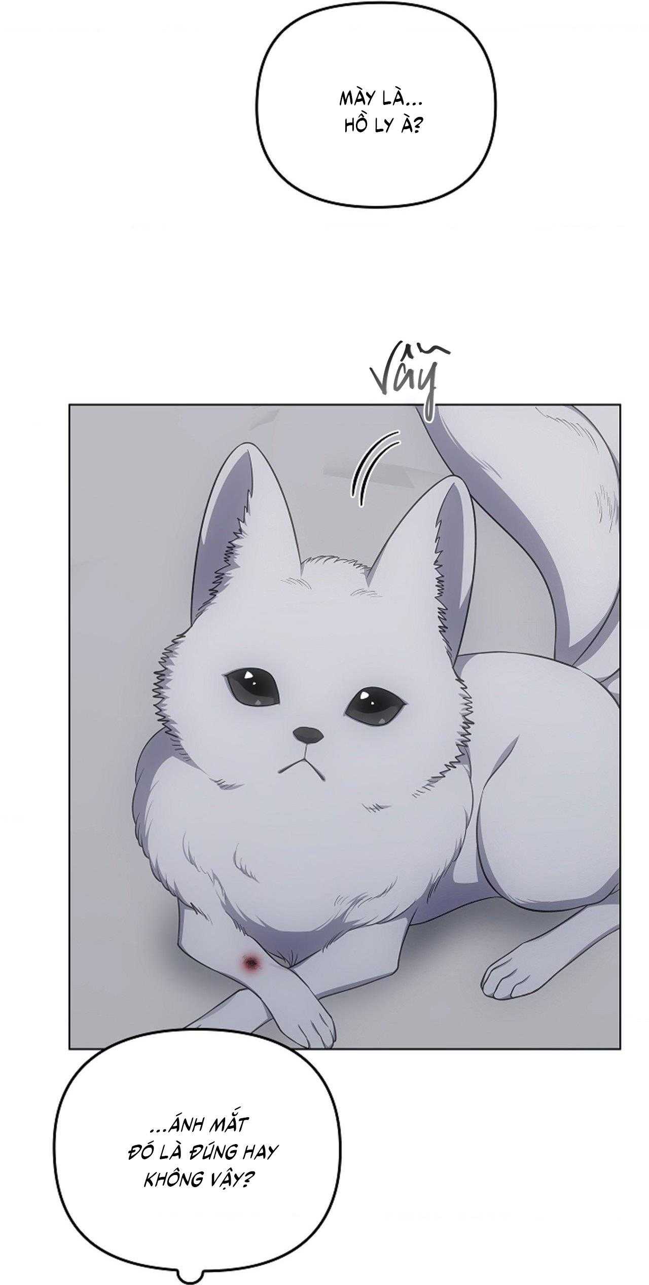 Đuổi Bắt Giữa Đêm Ngọt Ngào Chapter 29 - Next 
