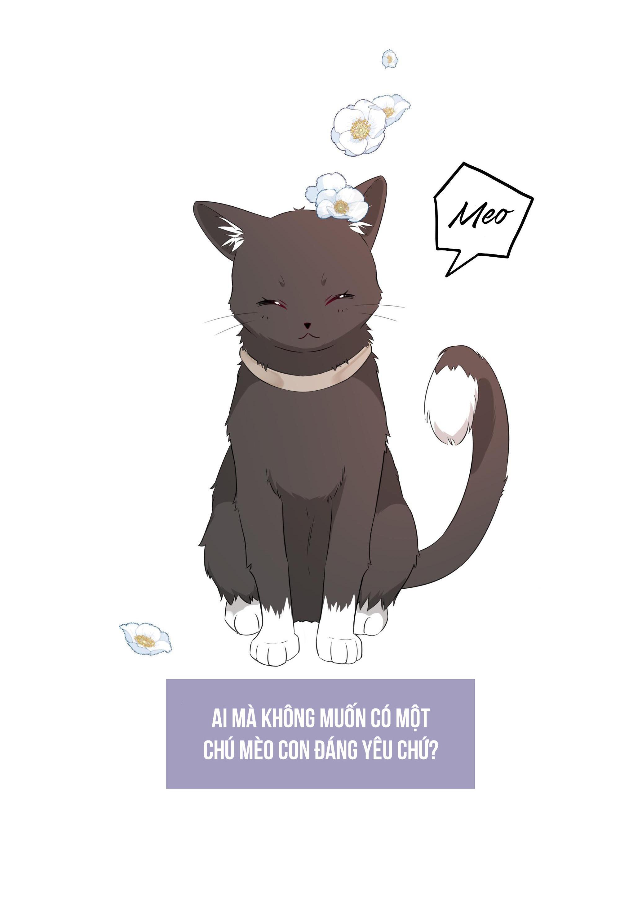Dưỡng Khí Quá Độ Chapter 0 - Trang 2