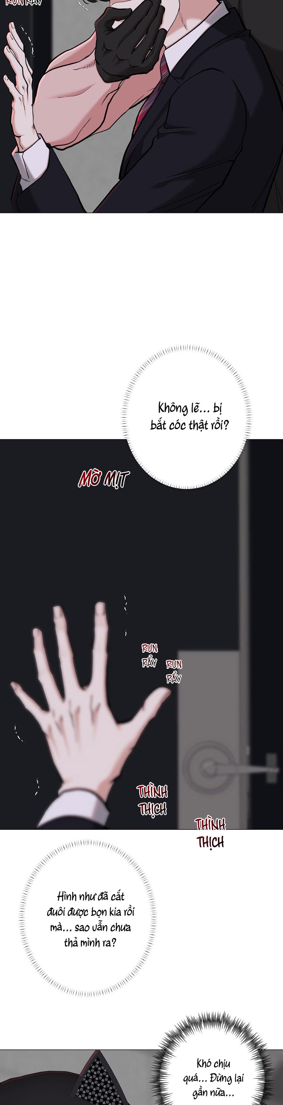 EM BÉ VÀ ĐẠI CA Chapter 47 - Trang 3
