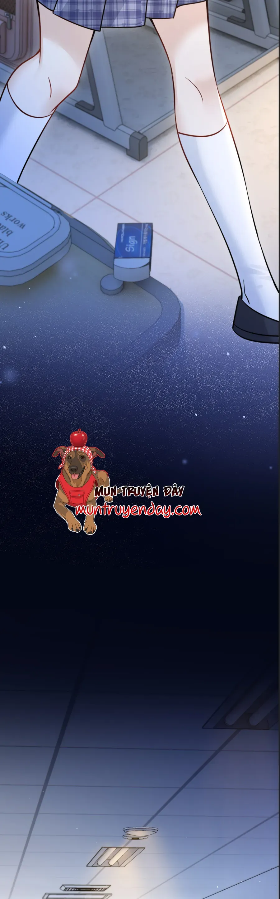 Em Có Nghe Thấy Tôi Nói Không Chapter 84 - Next 