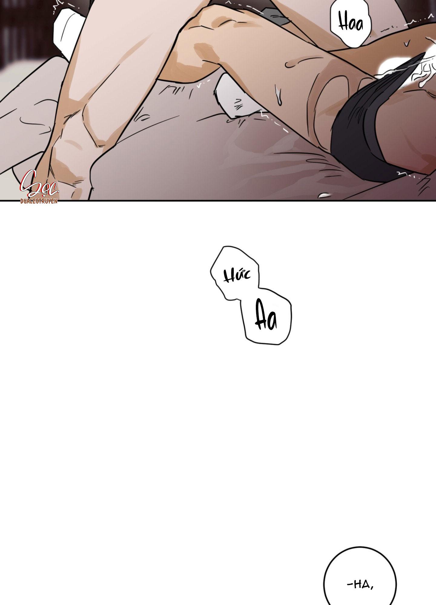 FULL BOOK Chapter 11 - Next Chapter 12