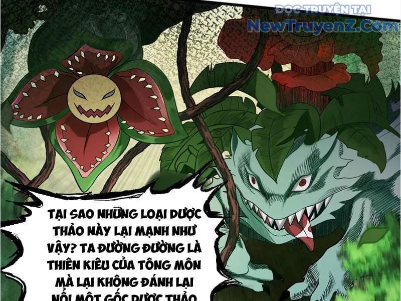 Gặp Mạnh Thì Càng Mạnh, Tu Vi Của Ta Không Giới Hạn Chapter 45 - Trang 2