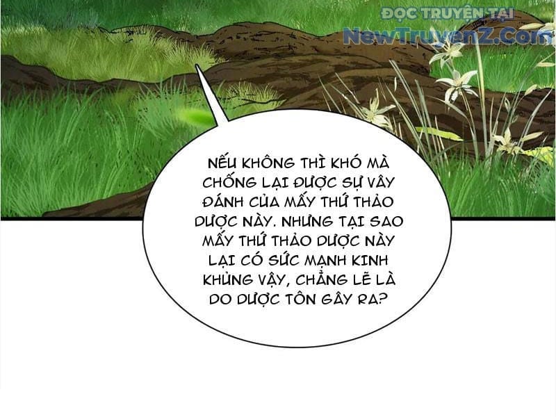 Gặp Mạnh Thì Càng Mạnh, Tu Vi Của Ta Không Giới Hạn Chapter 45 - Trang 2