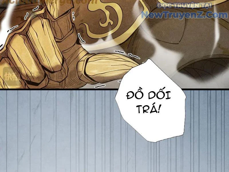 Gặp Mạnh Thì Càng Mạnh, Tu Vi Của Ta Không Giới Hạn Chapter 47 - Trang 2