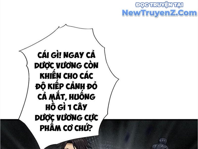 Gặp Mạnh Thì Càng Mạnh, Tu Vi Của Ta Không Giới Hạn Chapter 48 - Trang 2