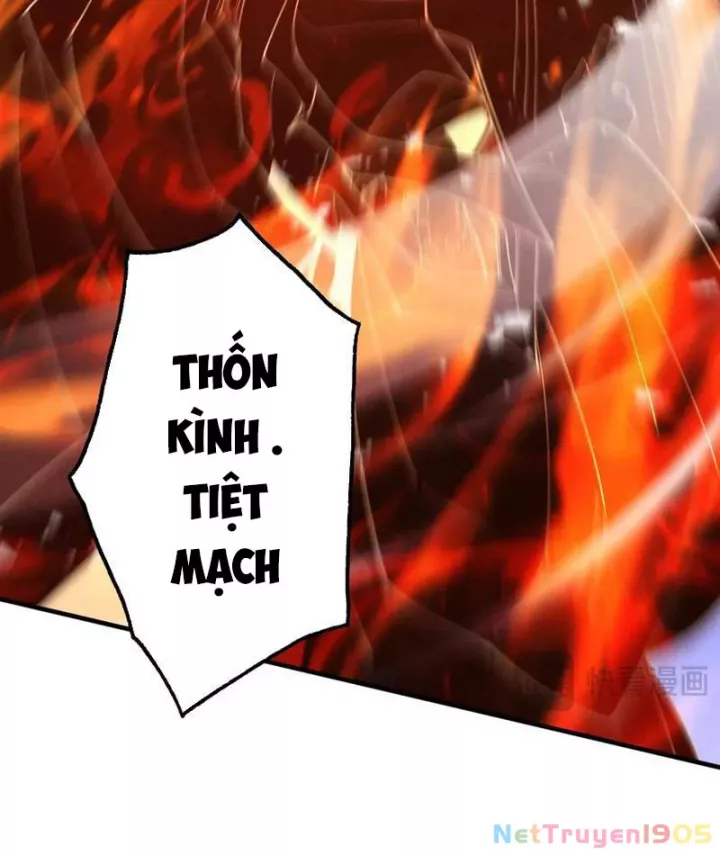 Gặp Mạnh Thì Càng Mạnh, Tu Vi Của Ta Không Giới Hạn Chapter 66 - Next 