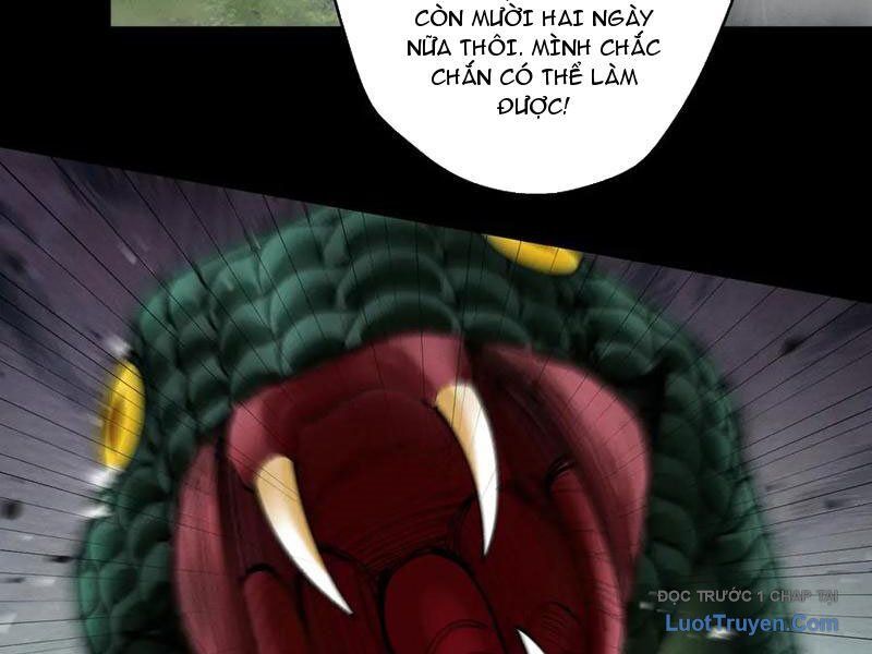 Gặp Mạnh Thì Càng Mạnh, Tu Vi Của Ta Không Giới Hạn Chapter 78 - Trang 2