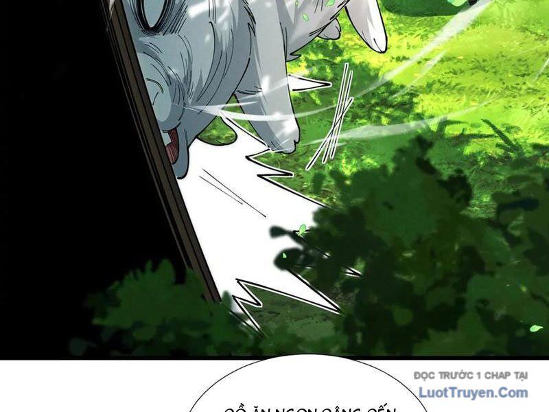 Gặp Mạnh Thì Càng Mạnh, Tu Vi Của Ta Không Giới Hạn Chapter 78 - Trang 2