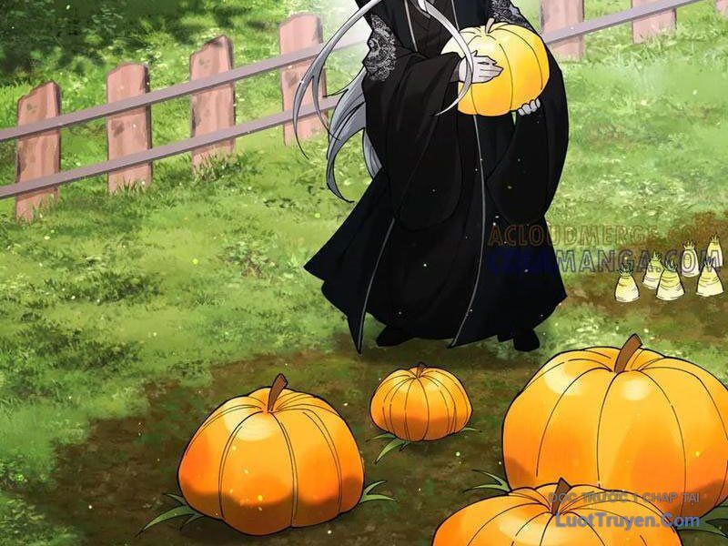 Gặp Mạnh Thì Càng Mạnh, Tu Vi Của Ta Không Giới Hạn Chapter 78 - Trang 2