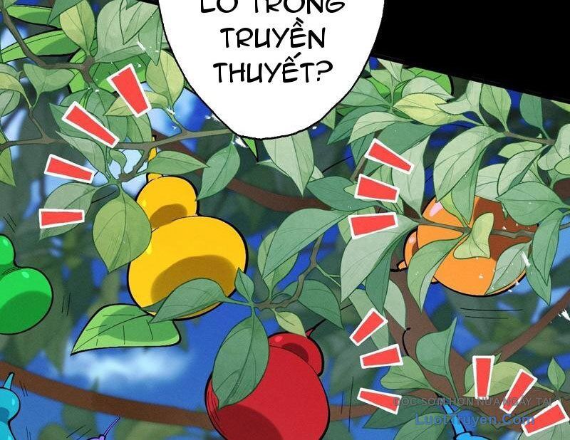 Gặp Mạnh Thì Càng Mạnh, Tu Vi Của Ta Không Giới Hạn Chapter 79 - Trang 2