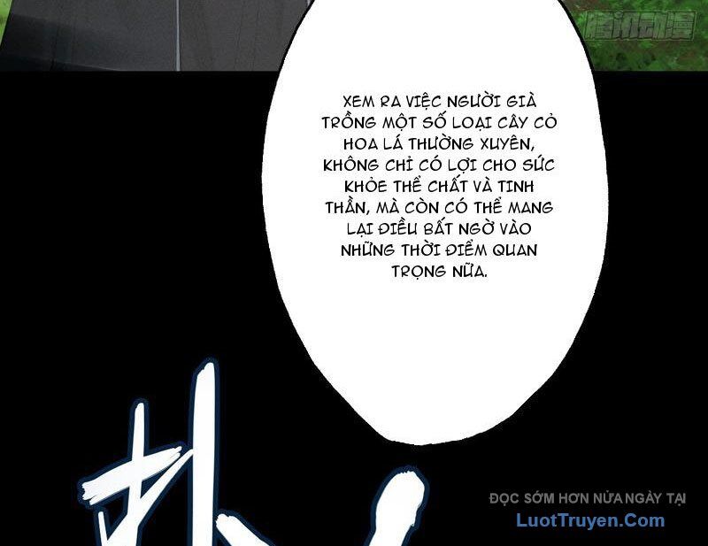 Gặp Mạnh Thì Càng Mạnh, Tu Vi Của Ta Không Giới Hạn Chapter 79 - Trang 2