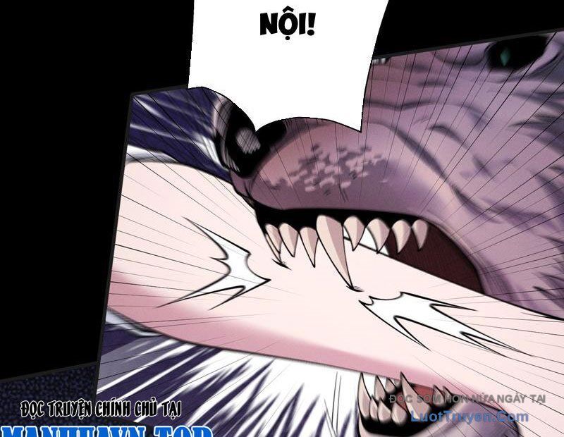 Gặp Mạnh Thì Càng Mạnh, Tu Vi Của Ta Không Giới Hạn Chapter 79 - Trang 2