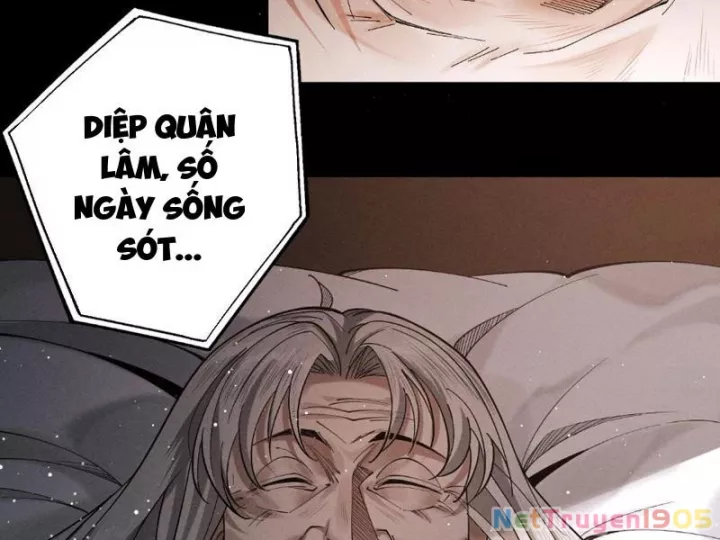 Gặp Mạnh Thì Càng Mạnh, Tu Vi Của Ta Không Giới Hạn Chapter 80 - Next Chapter 81
