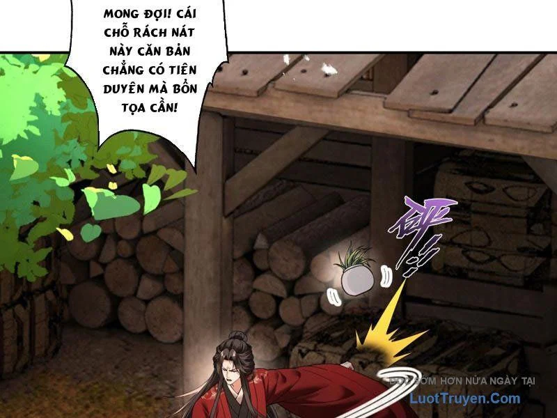 Gặp Mạnh Thì Càng Mạnh, Tu Vi Của Ta Không Giới Hạn Chapter 90 - Trang 2