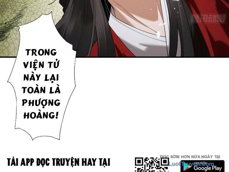 Gặp Mạnh Thì Càng Mạnh, Tu Vi Của Ta Không Giới Hạn Chapter 90 - Trang 2