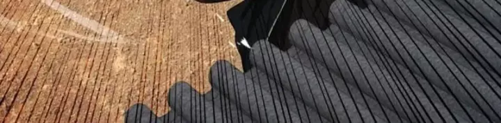 Gặp Mạnh Thì Càng Mạnh, Tu Vi Của Ta Không Giới Hạn Chapter 91 - Trang 2