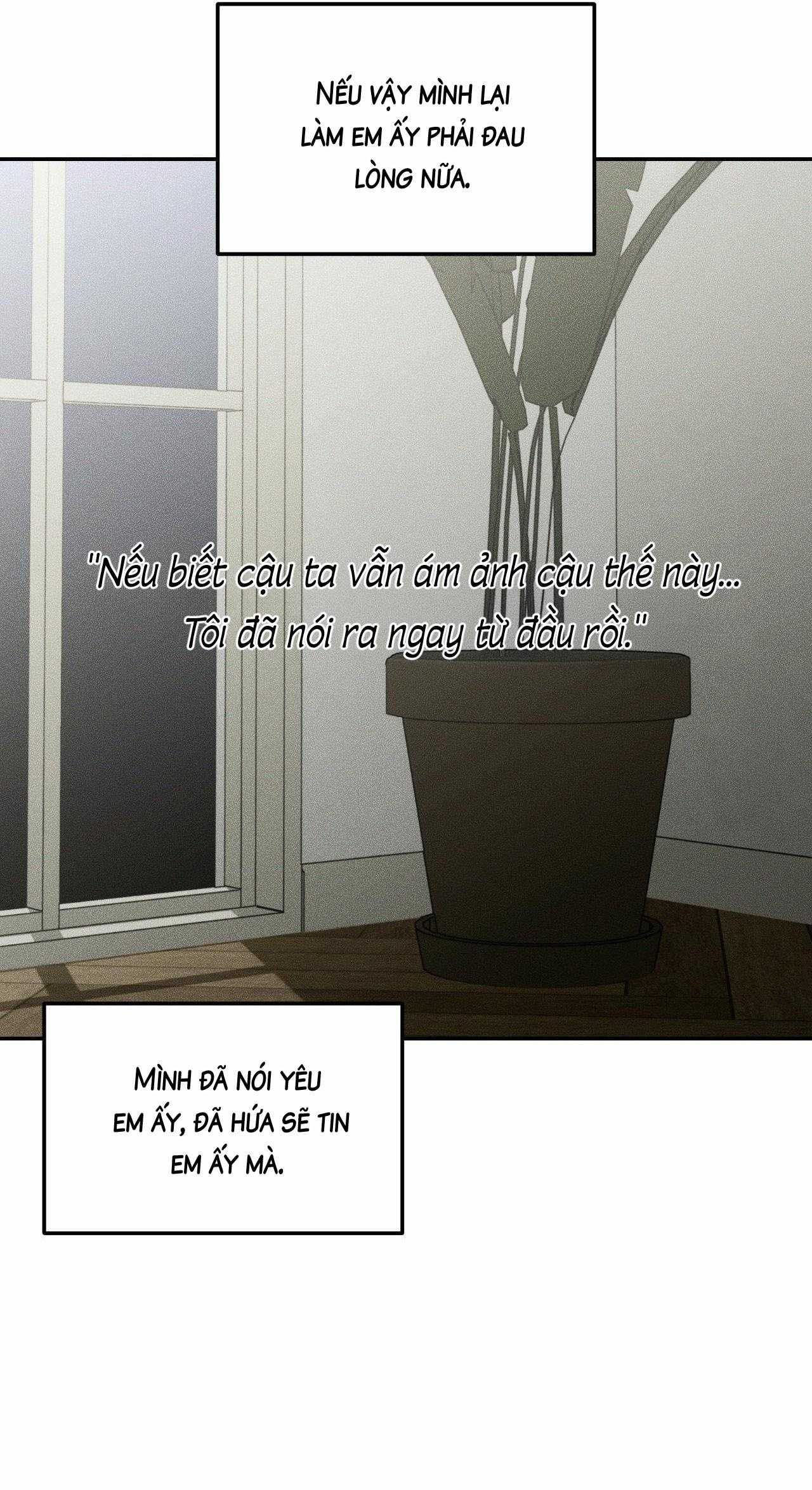 Gấu Teddy Thân Yêu Chapter 46 - Trang 2