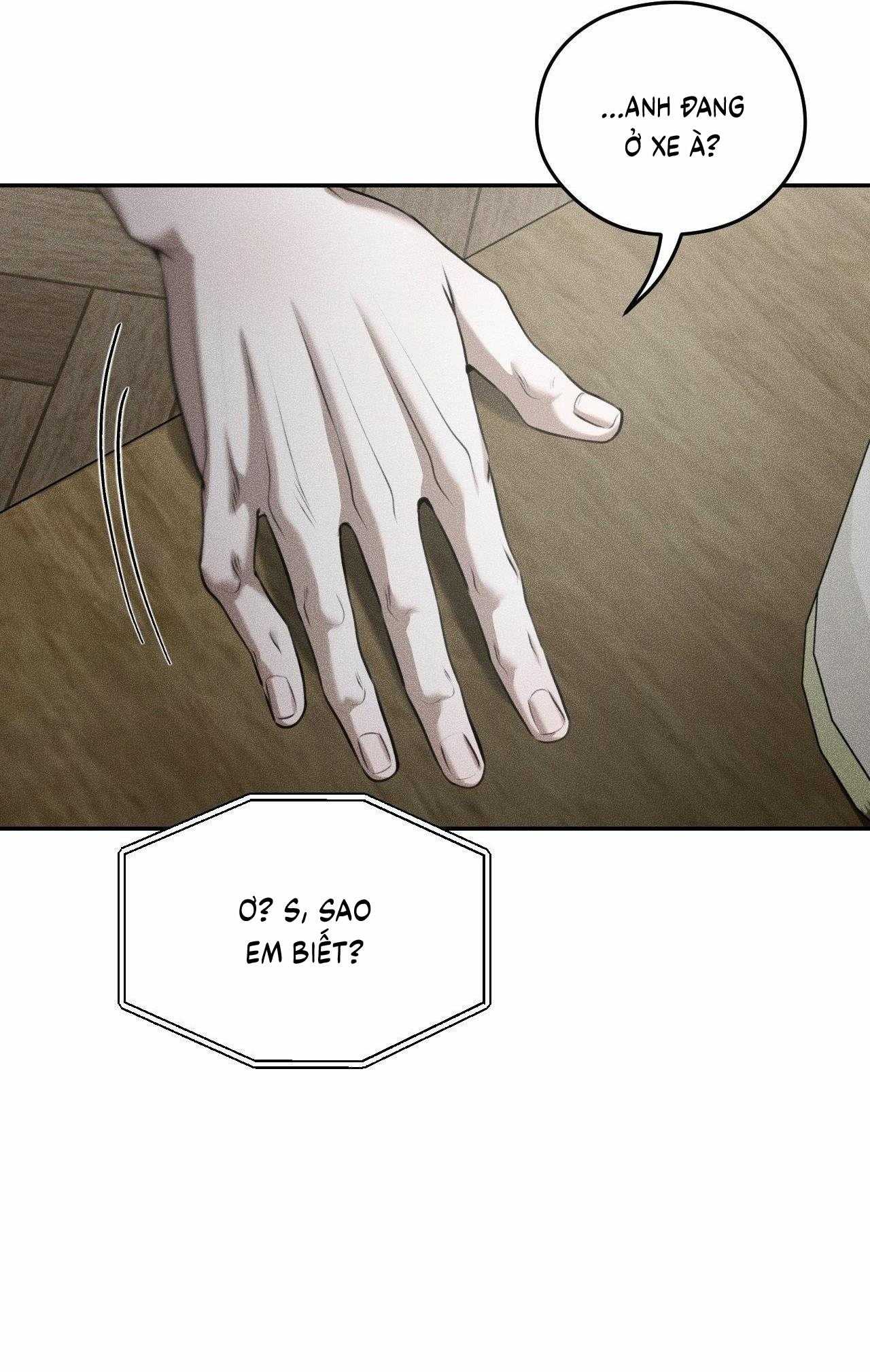 Gấu Teddy Thân Yêu Chapter 46 - Trang 2