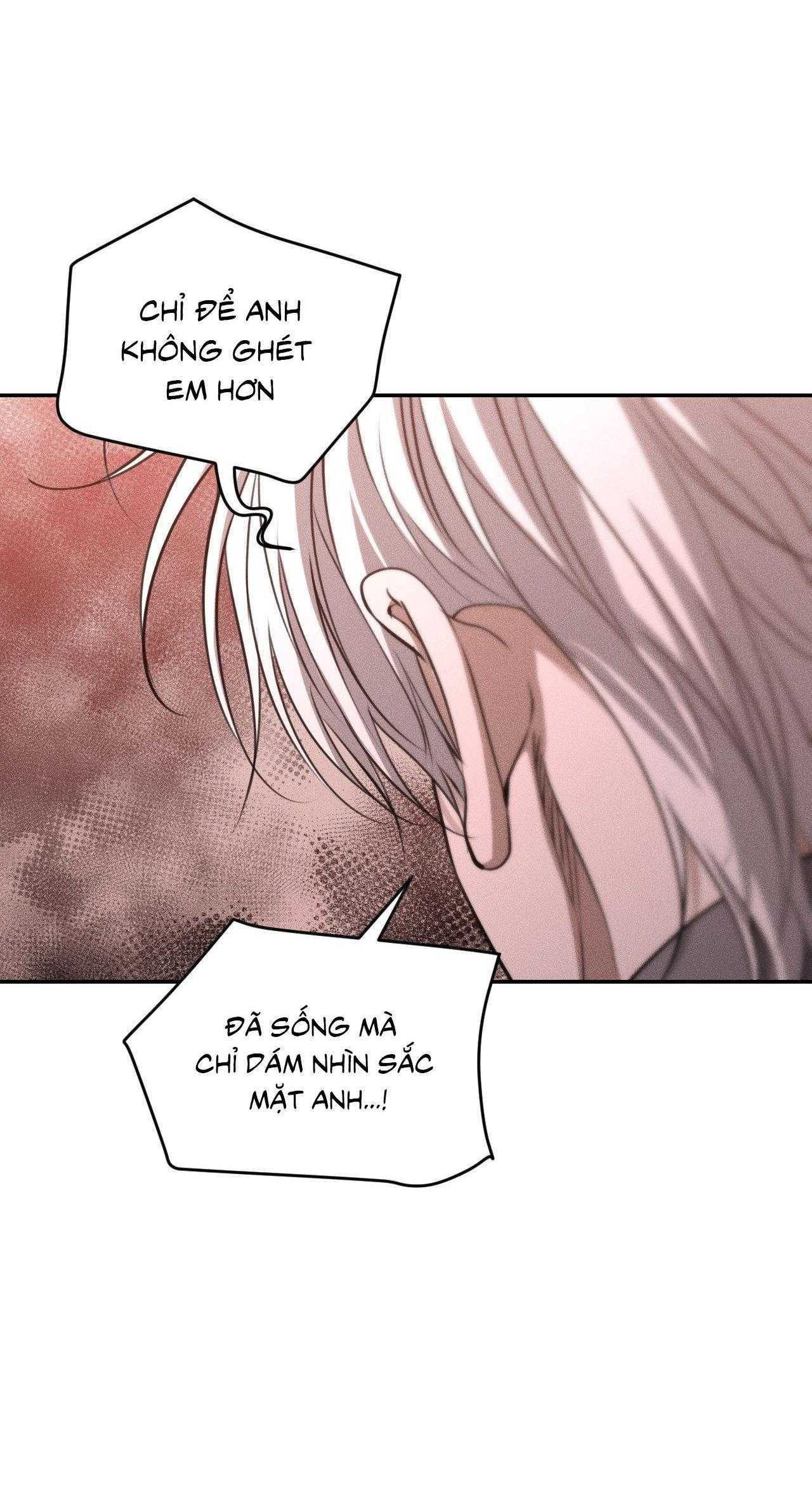 Gấu Teddy Thân Yêu Chapter 48 - Trang 2