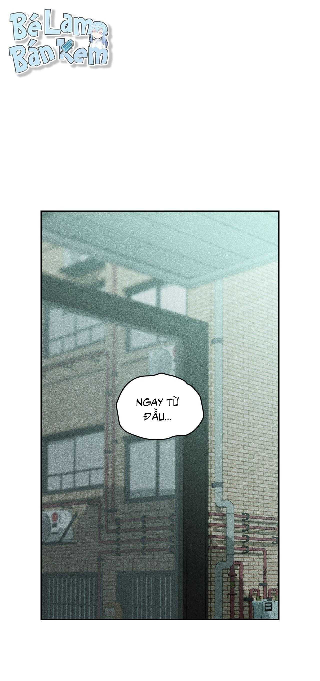 Gấu Teddy Thân Yêu Chapter 48 - Trang 2