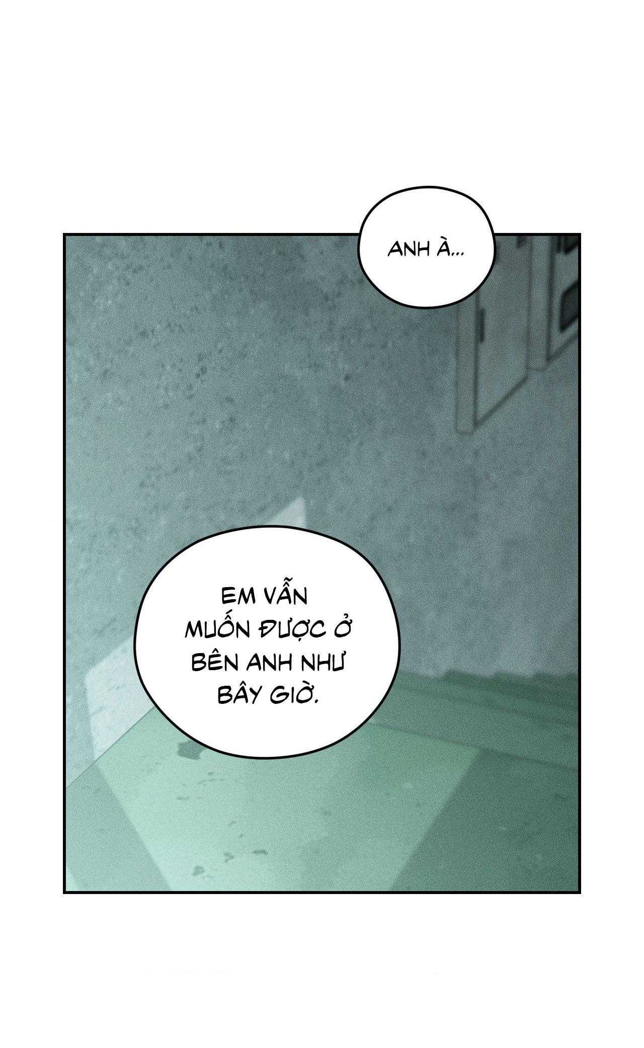 Gấu Teddy Thân Yêu Chapter 48 - Trang 2