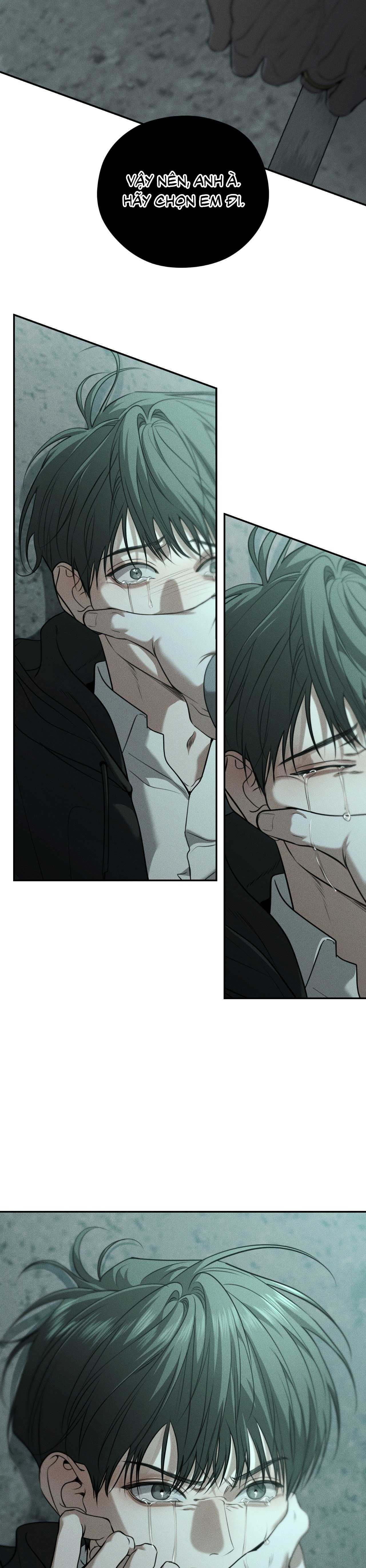 Gấu Teddy Thân Yêu Chapter 49 - Trang 2